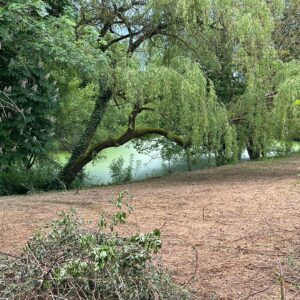 CBD irrigué naturellement