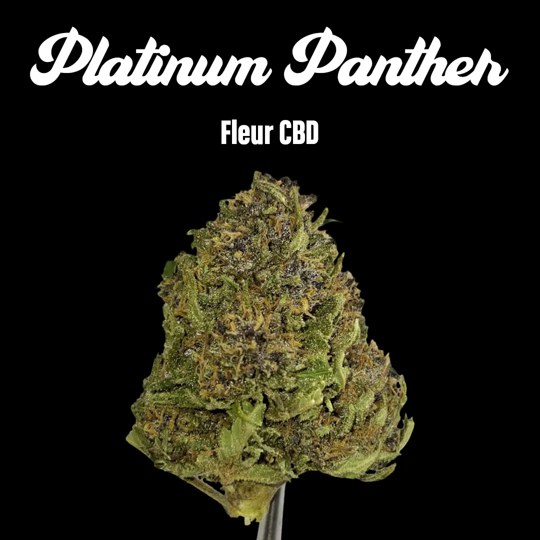 Platinum Panther - Fleurs CBD