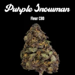 Purple Snowman - Fleurs CBD