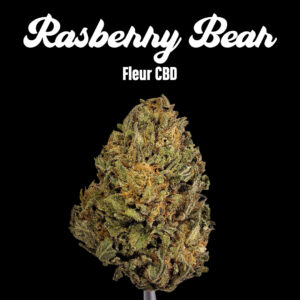 Raspberry Bear Claw - Fleurs CBD
