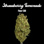 Strawberry Lemonade Kush - Fleurs CBD