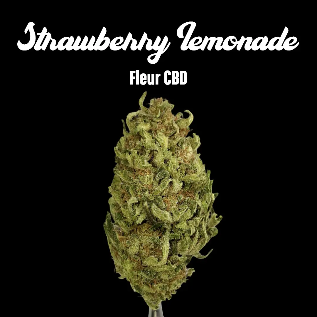 Strawberry Lemonade Kush - Fleurs CBD